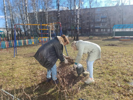 Субботник Субботник.