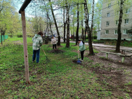Всероссийский субботник. Всероссийский субботник.